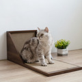 壁咚 貓抓板 | 可可棕 (贈送純天然木天蓼)_2
