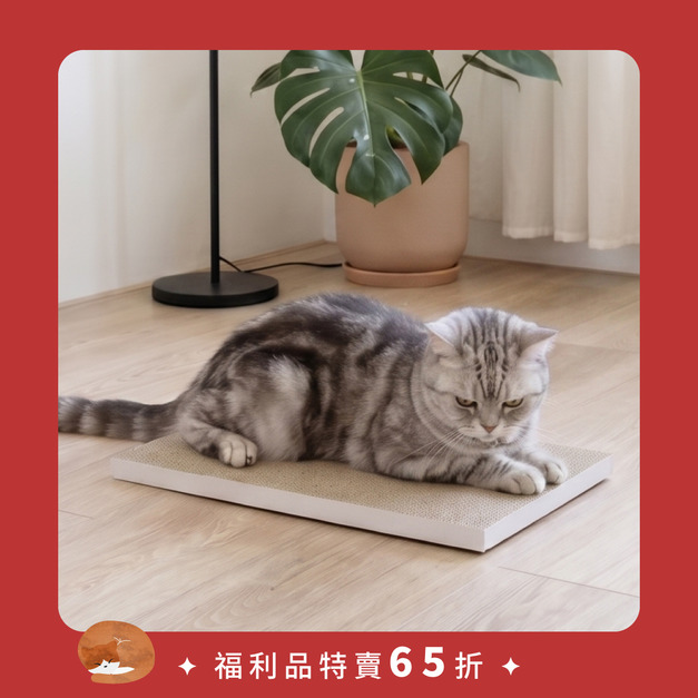 ✩福利品特賣✩ 頑強貓抓板(2片) | 顏色隨機 (米白色、原木色、黑木紋)