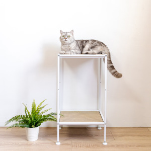 貓咪瞭望台/貓跳台 | 中