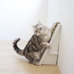 頑強 斜坡貓抓板 | 清新白 (贈送純天然木天蓼)