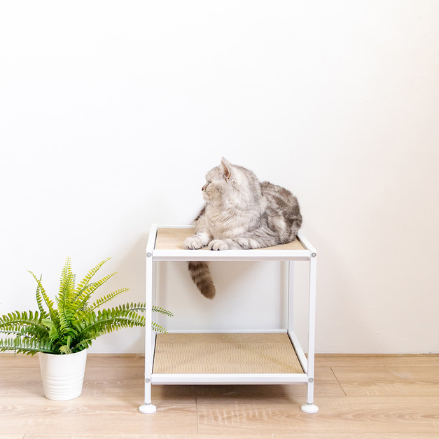 貓咪瞭望台/貓跳台 | 小