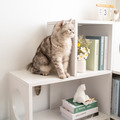 階梯跳台櫃/貓跳台/貓書櫃 (3層) | 清新白_1