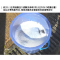 Stoner 美國史東樂 visible shine coating wash 晶亮鍍膜洗車精_2