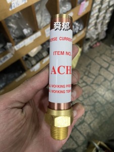 ACHEN 水錘吸收器  1/2" 外牙 水錘效應