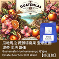 【掛耳包】瓜地馬拉 薇薇特南果 奎娜莊園 波旁 水洗 SHB #日本知名咖啡店，也使用的莊園！