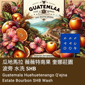 瓜地馬拉 薇薇特南果 奎娜莊園 波旁 水洗 SHB【咖啡豆225g】 #日本知名咖啡店，也使用的莊園！