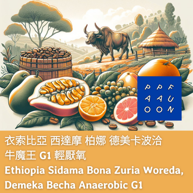 衣索比亞 西達摩 柏娜 德美卡波洽 牛魔王 G1 輕厭氧【咖啡豆225g】