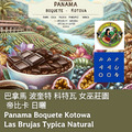 巴拿馬 波奎特 科特瓦 女巫莊園 帝比卡 日曬【咖啡豆225g】
