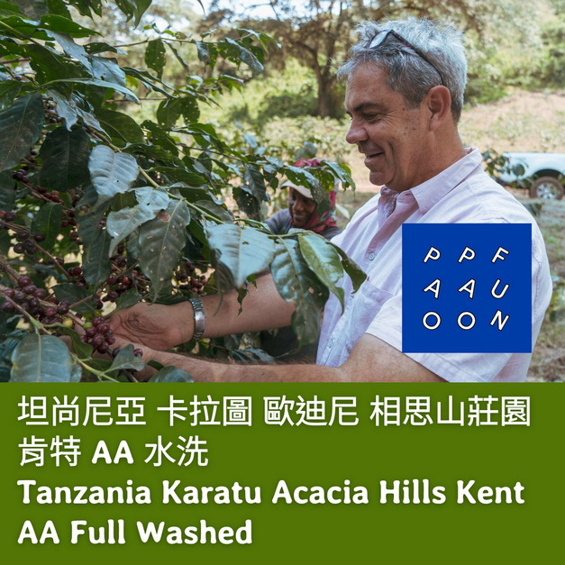 坦尚尼亞 卡拉圖 歐迪尼 相思山莊園 肯特 AA 水洗【咖啡豆225g】