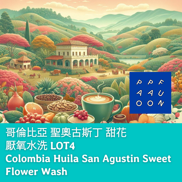 哥倫比亞 聖奧古斯丁 甜花 厭氧水洗 LOT4【咖啡豆225g】