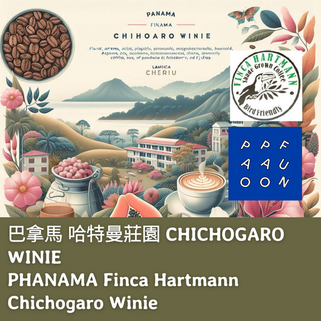 巴拿馬 哈特曼莊園 CHICHOGARO WINIE【咖啡豆225g】