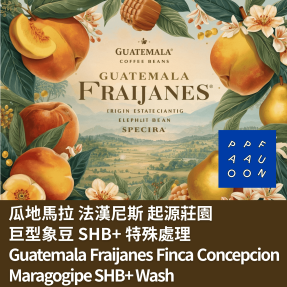 瓜地馬拉 法漢尼斯 起源莊園 巨型象豆 SHB+ 特殊處理【咖啡豆225g】