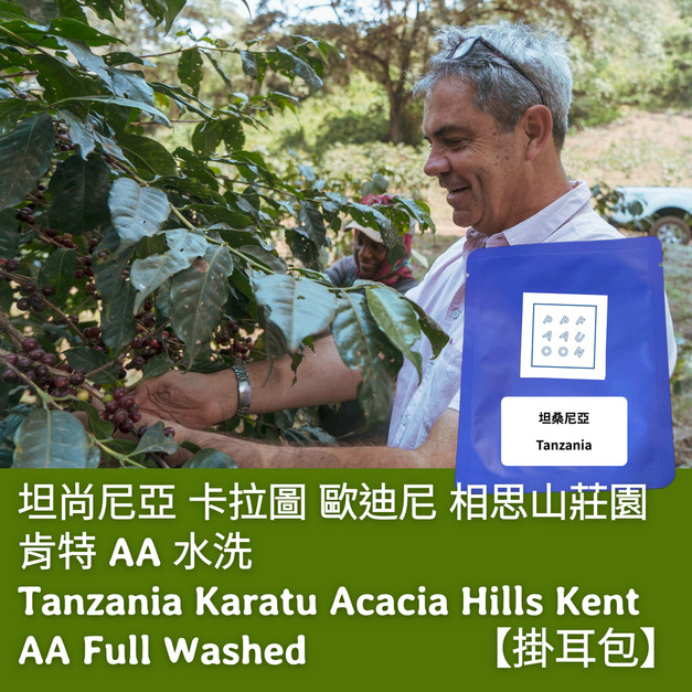 【掛耳包】坦尚尼亞 卡拉圖 歐迪尼 相思山莊園 肯特 AA 水洗