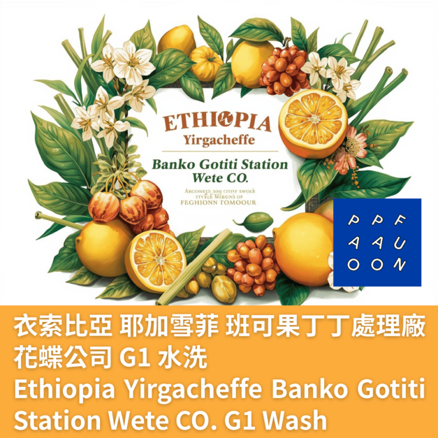 衣索比亞 耶加雪菲 班可果丁丁處理廠 花蝶公司 G1 水洗【咖啡豆225g】