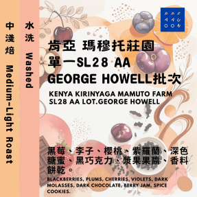 肯亞 奇林雅加區 瑪穆托莊園 單一SL28 AA GEORGE HOWELL批次【咖啡豆225g】
