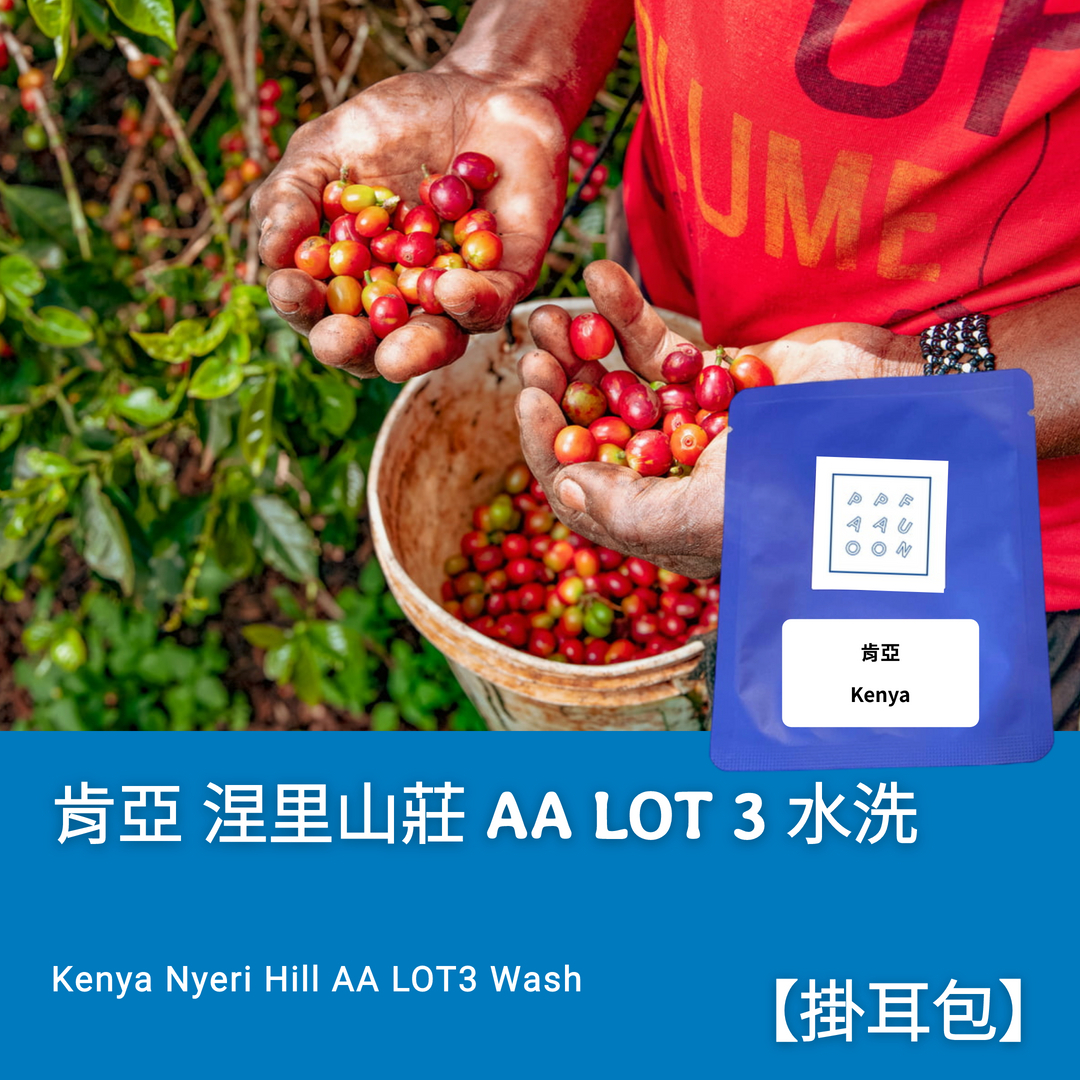 【掛耳包】肯亞 涅里山莊 AA TOP 水洗  #連續採購3年的好咖啡！