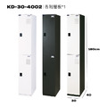 大富 KD全鋼製鑰匙鎖置物櫃｜面寬30cm｜二門｜KD-30-4002_1
