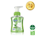 滴露滋潤蘆薈抗菌泡沫潔手液250ml_1