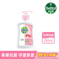 滴露抗菌潔手液滋潤倍護250ml