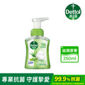 【三瓶8折】滴露滋潤蘆薈抗菌泡沫潔手液250ml*3瓶