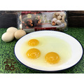 三帖｜牛樟芝土雞蛋_4