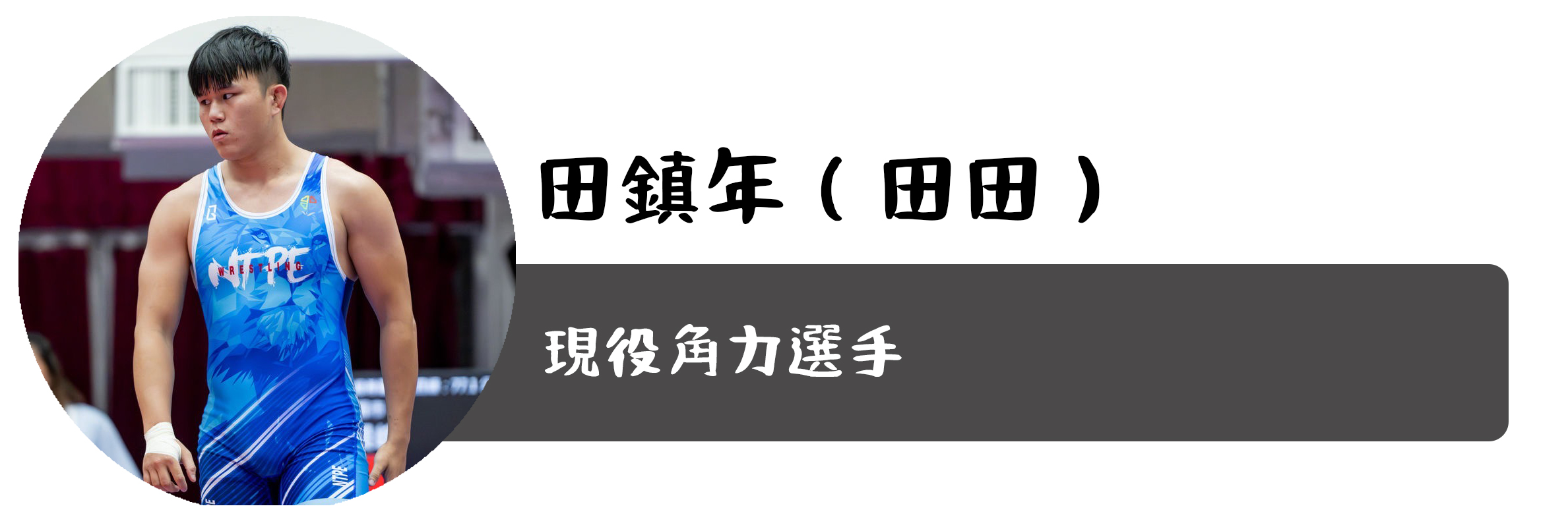 田鎮年
