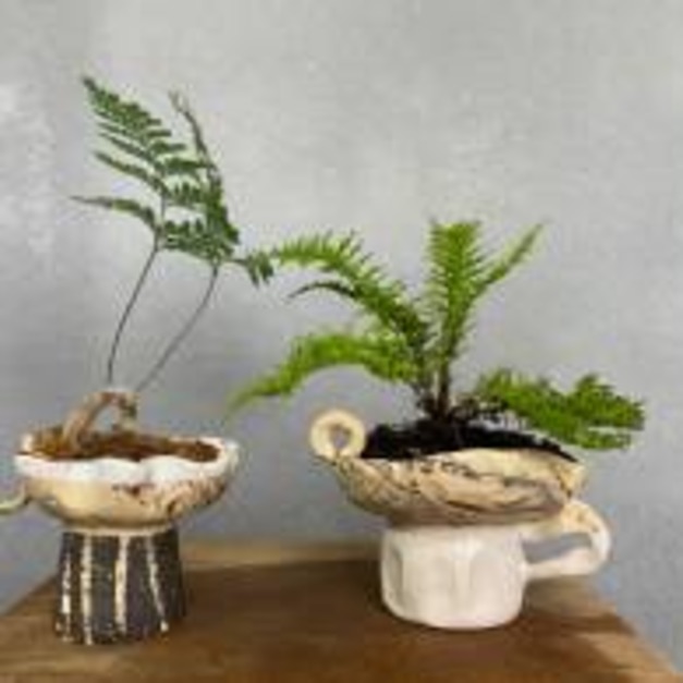 花器 療癒植栽