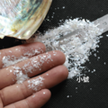 白貝碎小薄片_5
