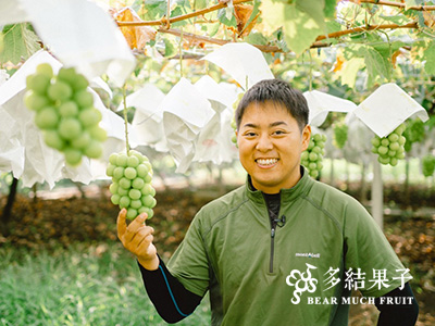 秋季夢幻逸品 釀酒等級日本山梨縣麝香葡萄空運抵台