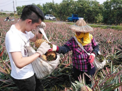 三級警戒延長，防疫升級！衝擊生鮮量販網購? 多結果子自有低溫宅配車隊，輕鬆讓產地蔬果安心到餐桌。