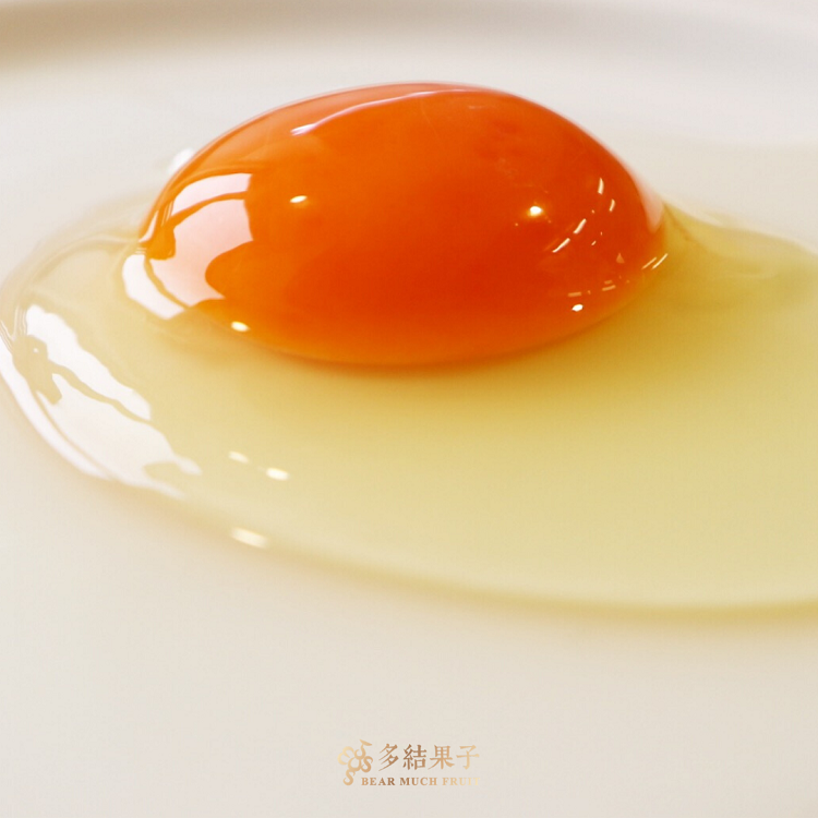 多結果子揪您做公益-國際兒童村篇
