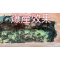 【螞蟻巢研究所】蜂王乳螞蟻飼料30/60g (偏素食蟻) 均衡營養的最佳選擇，業界唯一營養成分送檢螞蟻飼料/養螞蟻/螞蟻窩_13