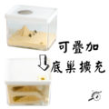 【螞蟻巢研究所】金字塔活動區 無限擴充底巢需要另外加購 不管你養希式巨山蟻、大黑巨山蟻、高雄巨山蟻、白疏巨山蟻通通適用_1