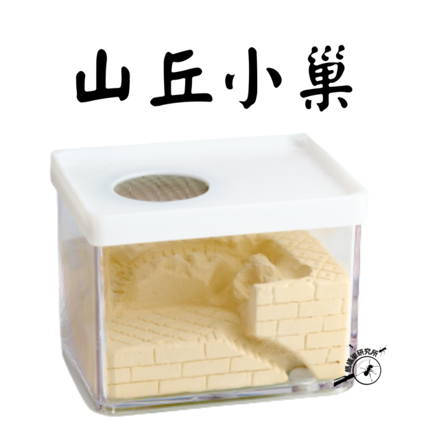 【螞蟻巢研究所】埃及小巢 無限擴充底巢另購 小群落培養石膏巢、希式巨山蟻、大黑、高雄巨山蟻、白疏 入門首選