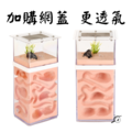 【螞蟻巢研究所】大地心螞蟻巢 CP值最高 封閉石膏巢超保濕，適合所有巨山蟻，白疏、高雄、臭巨、希式、泰勒/養螞蟻/螞蟻窩_1