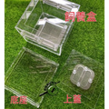 【螞蟻巢研究所】黃迷飼養盒、黃迷繁殖箱、昆蟲飼養箱 壓克力好觀察，三面不鏽鋼網透氣安全，糞便分離底座衛生養殖，黃迷盒_7