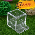 【螞蟻巢研究所】壓克力水塔 大、小 螞蟻自行取水調整濕度用 螞蟻飼養用品 /養螞蟻/螞蟻窩，大小正方塑膠水塔_1