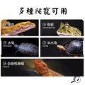 【螞蟻巢研究所】蟲泥 昆蟲肉泥 黑水虻 蟋蟀 蝗蟲 麵包蟲 打成泥真空滅菌包裝 取代櫻桃紅蟑 衛生不髒手 守宮主食_1