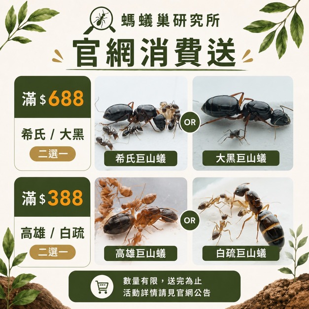 【螞蟻巢研究所】官網滿額送 消費滿 $688  希氏巨山蟻／大黑巨山蟻 二選一  ・消費滿 $388  高雄巨山蟻／白疏巨山蟻 二選一