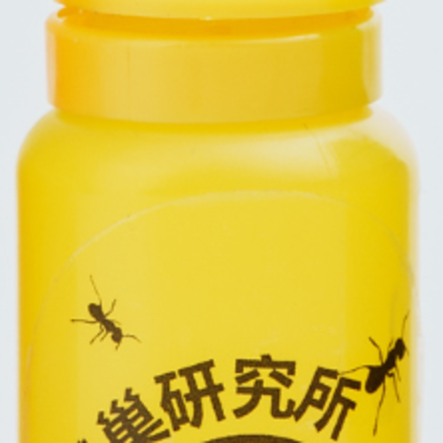 黃色10ml
