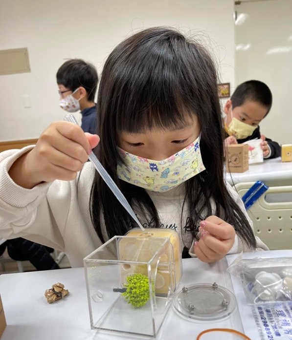 養螞蟻完整教學｜新手怎麼養？螞蟻哪裡買？一次看懂｜螞蟻巢研究所