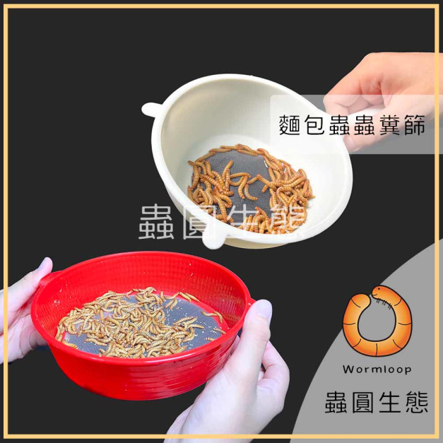 麵包蟲、大麥蟲專用糞篩網