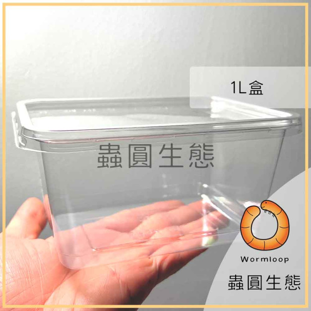 飼養盒 / 掌上明蛛盒