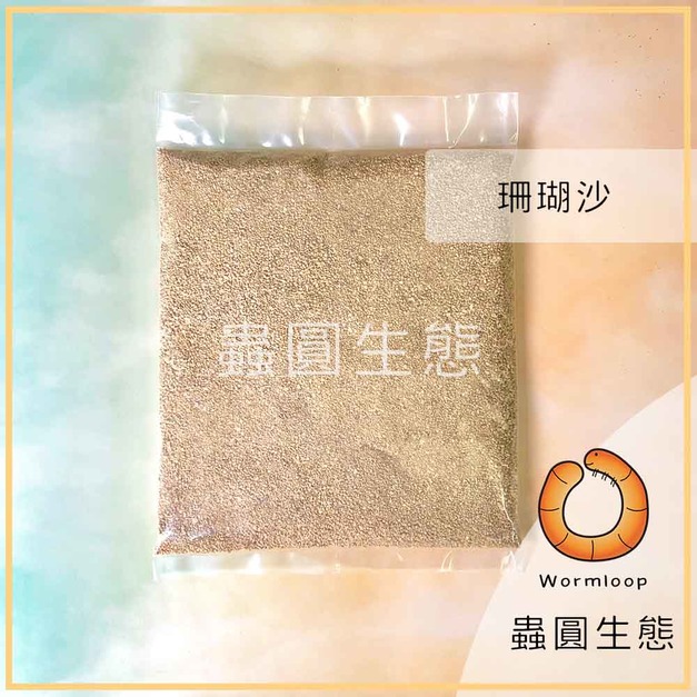 寄居蟹專用海沙