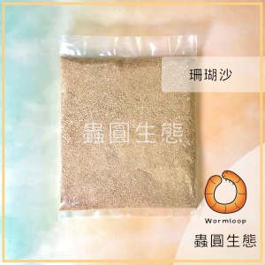 寄居蟹專用海沙