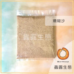 寄居蟹專用海沙