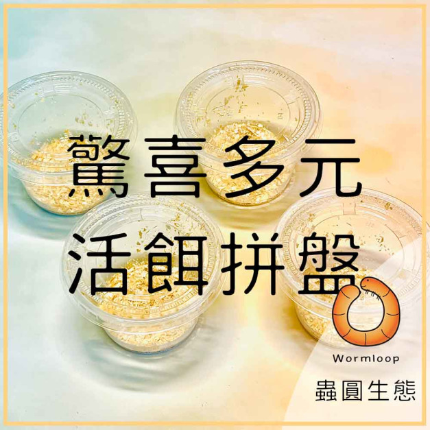 驚喜多元 活餌拼盤 “特賣中”