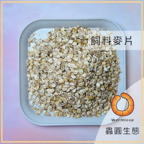 飼料 麥片/麥粉