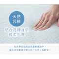 輕鬆睏【雙面功能涼感+靜電乳膠】隨身墊（雙人加大-6x6.2尺）附防水無印隨身背袋_2