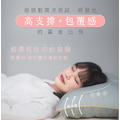 跟著丹丹出去玩專屬｜超睏枕_1